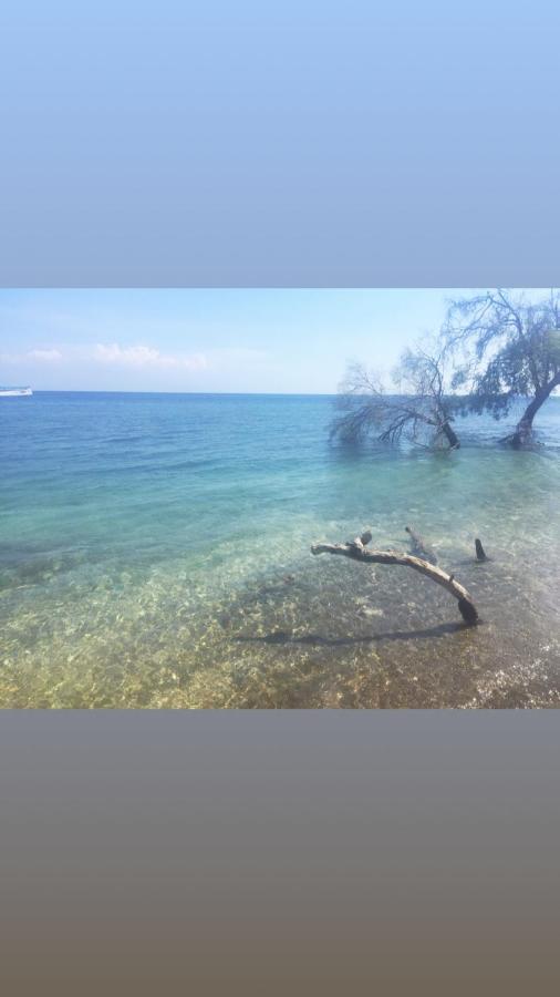 Maleo Moyo Hotel & Dive Resort Moyo Island المظهر الخارجي الصورة