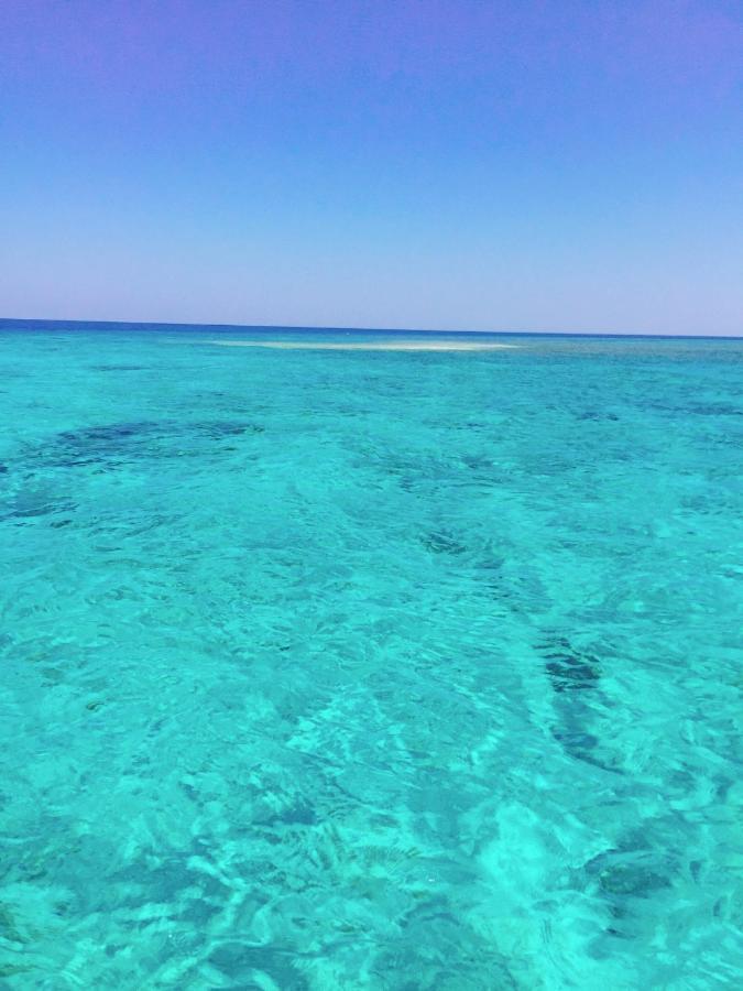 Maleo Moyo Hotel & Dive Resort Moyo Island المظهر الخارجي الصورة