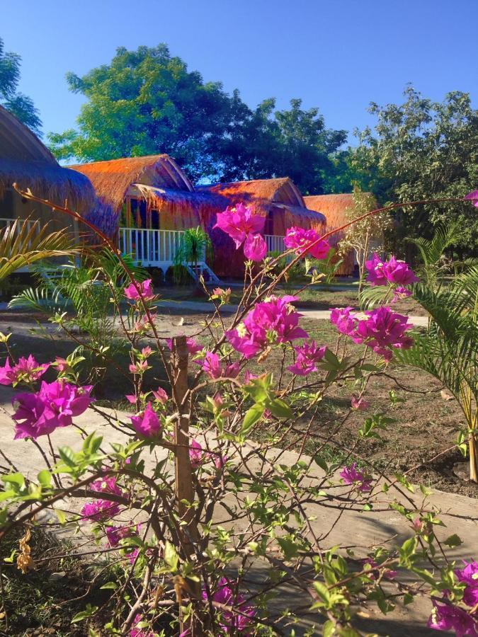 Maleo Moyo Hotel & Dive Resort Moyo Island المظهر الخارجي الصورة