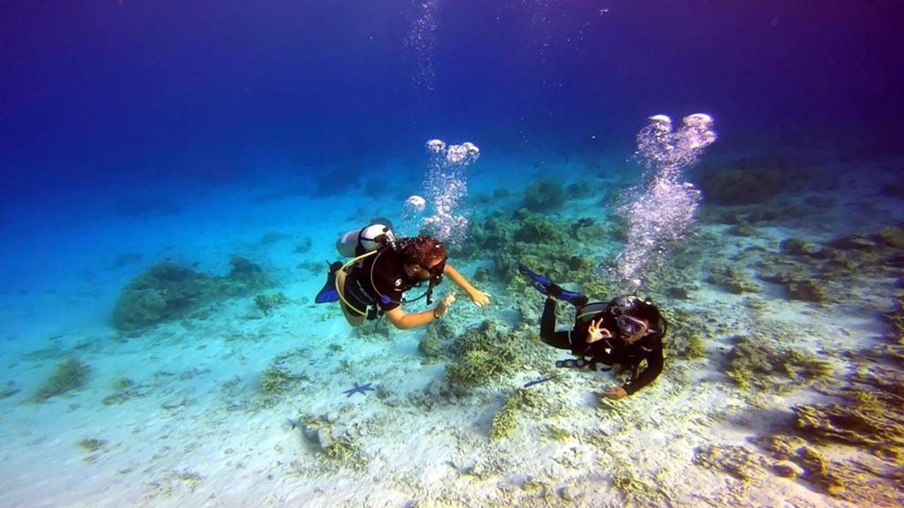Maleo Moyo Hotel & Dive Resort Moyo Island المظهر الخارجي الصورة