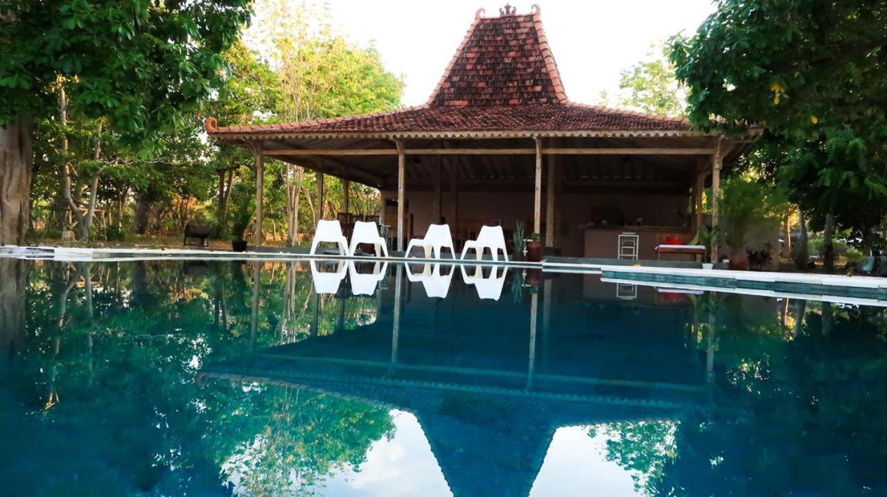 Maleo Moyo Hotel & Dive Resort Moyo Island المظهر الخارجي الصورة